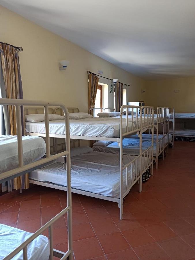 Albergue De Sos Del Rey Catolico Ngoại thất bức ảnh