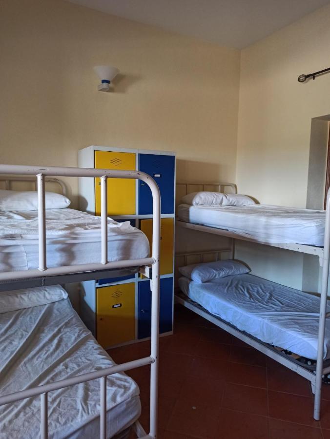 Albergue De Sos Del Rey Catolico Ngoại thất bức ảnh